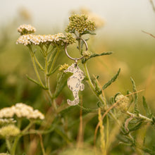 Load image into Gallery viewer, Seahorse
